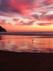 Saintly Gate Venerab