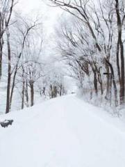 Rebirth as a Court A