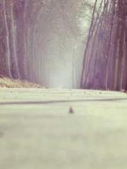 Asking the Immortal Asking the Immortal