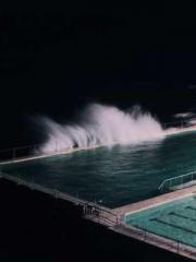 The Best Little Body