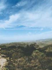 I Picked Up a Cultiv