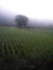 lt;lt;The Trash Husb