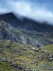 The Substitute Wife The Substitute Wife