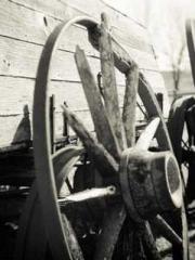 Scarlet Robe Murder Scarlet Robe Murder