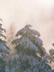 Fast Travel: The Vil