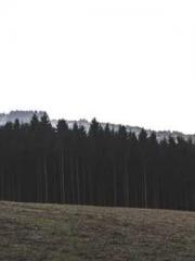 The Daring Wife of a