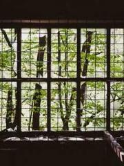 lt;Mr. Bao, Mrs. Bao