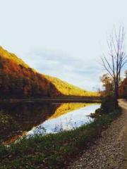 Yang Lin, Li Yuyao, Yang Lin, Li Yuyao,