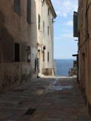 The CEO Daddyapos;s The CEO Daddyapos;s