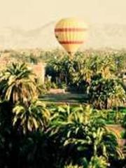 Yellow Spring Expres