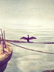 The Legend of the Dr